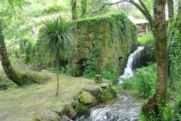 Foto 36 da atividade Galeria de Fotos