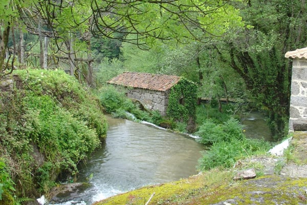 Foto 34 da atividade Galeria de Fotos