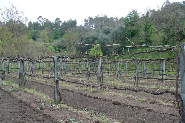 Foto 31 da atividade Galeria de Fotos