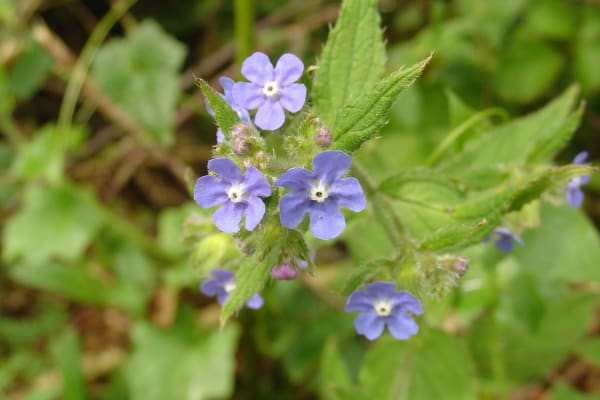 Foto 25 da atividade Galeria de Fotos