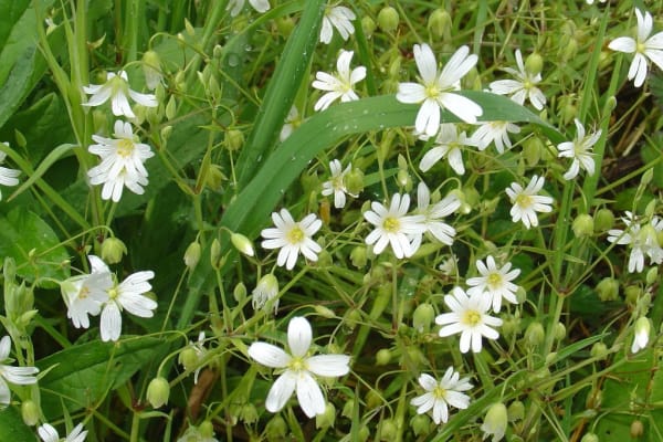 Foto 26 da atividade Galeria de Fotos