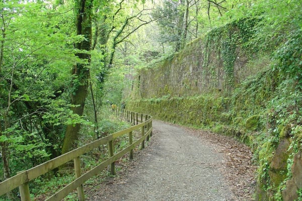 Foto 15 da atividade Galeria de Fotos