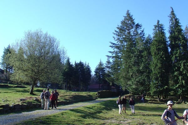 Foto 138 da atividade Galeria de Fotos