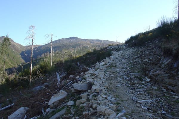 Foto 126 da atividade Galeria de Fotos