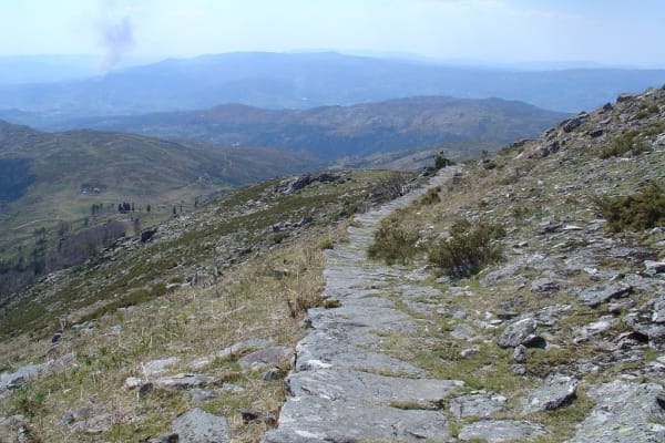 Foto 120 da atividade Galeria de Fotos