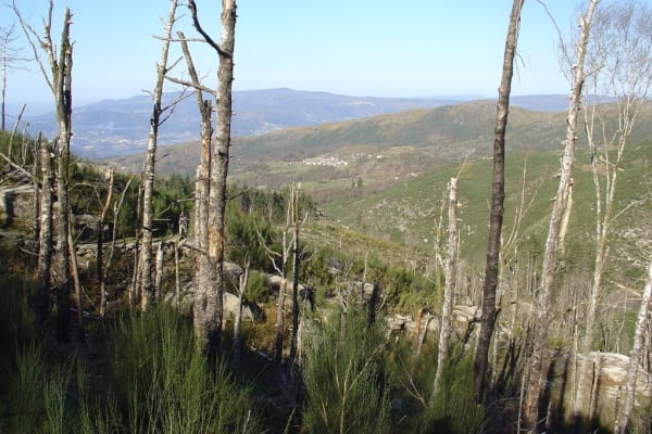 Foto 96 da atividade Galeria de Fotos