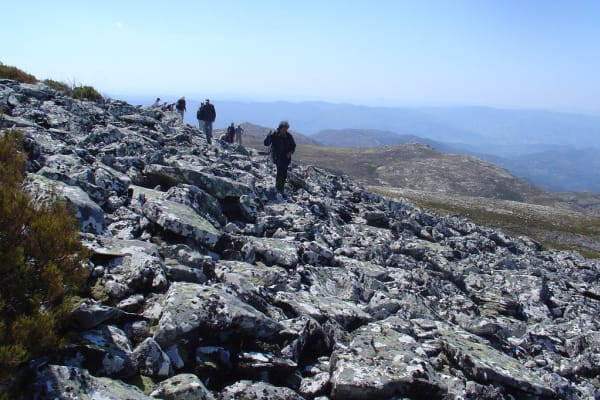 Foto 95 da atividade Galeria de Fotos