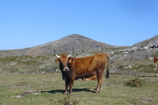 Foto 70 da atividade Galeria de Fotos