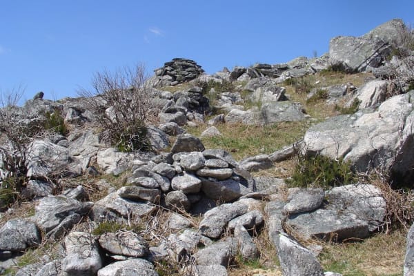 Foto 73 da atividade Galeria de Fotos