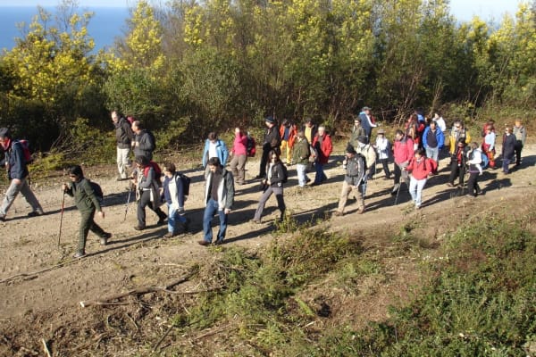 Foto 87 da atividade Galeria de Fotos