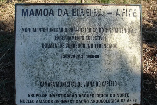 Foto 58 da atividade Galeria de Fotos