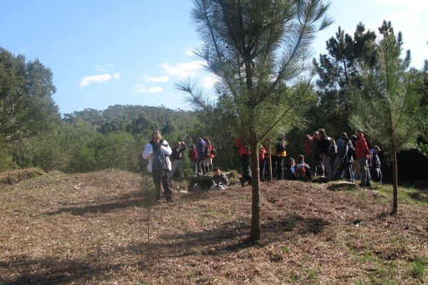 Foto 54 da atividade Galeria de Fotos