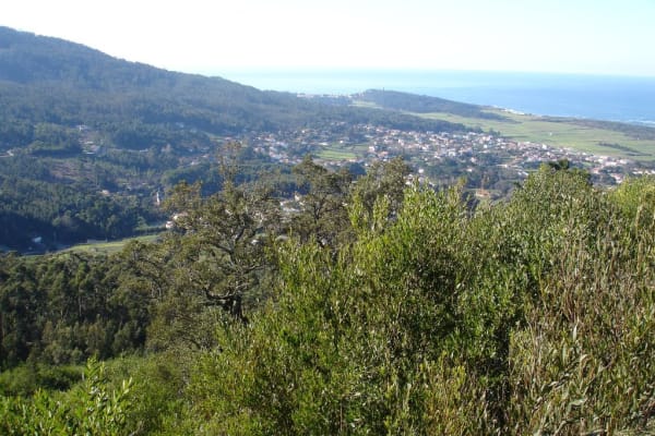 Foto 8 da atividade Galeria de Fotos