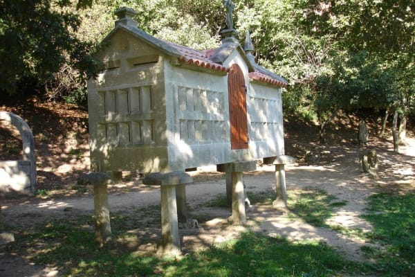 Foto 90 da atividade Galeria de Fotos