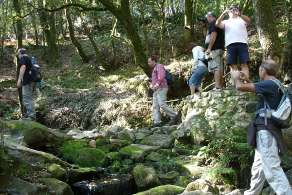 Foto 83 da atividade Galeria de Fotos