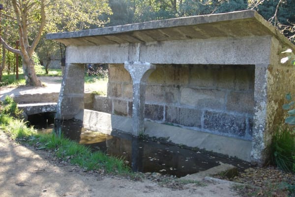 Foto 79 da atividade Galeria de Fotos