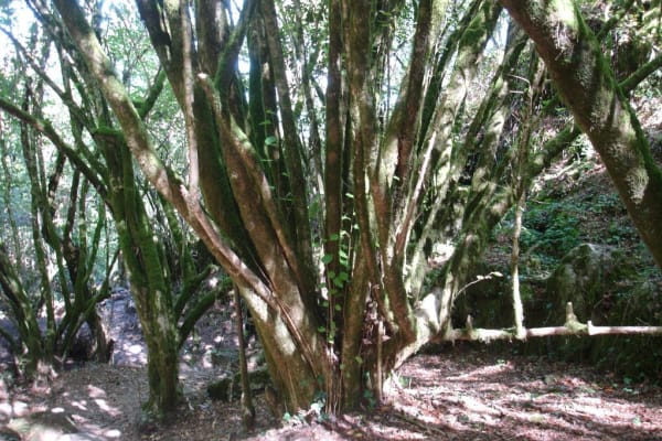 Foto 65 da atividade Galeria de Fotos