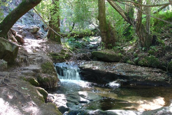 Foto 56 da atividade Galeria de Fotos