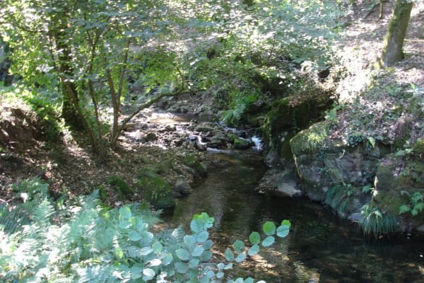 Foto 50 da atividade Galeria de Fotos