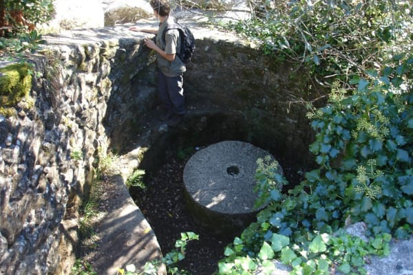 Foto 53 da atividade Galeria de Fotos