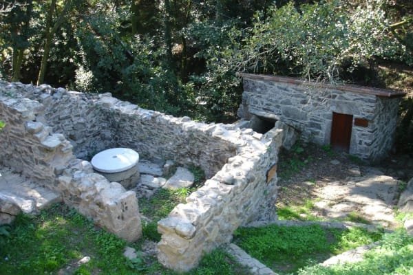 Foto 44 da atividade Galeria de Fotos