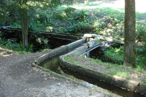 Foto 39 da atividade Galeria de Fotos