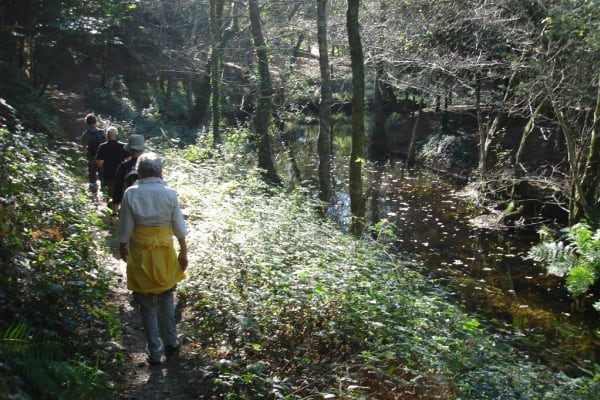 Foto 38 da atividade Galeria de Fotos