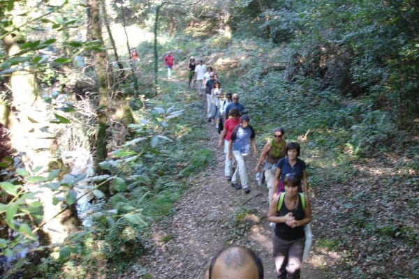 Foto 33 da atividade Galeria de Fotos