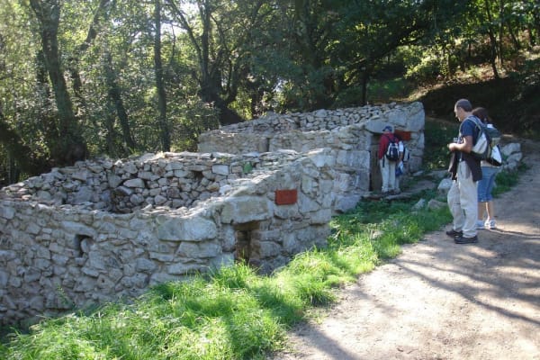 Foto 25 da atividade Galeria de Fotos