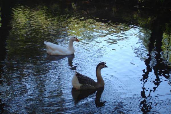 Foto 30 da atividade Galeria de Fotos