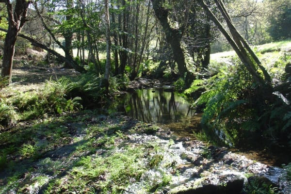 Foto 23 da atividade Galeria de Fotos