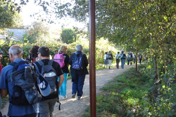 Foto 18 da atividade Galeria de Fotos