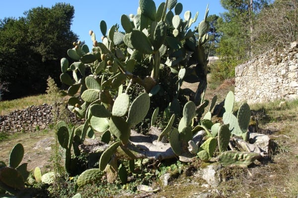 Foto 15 da atividade Galeria de Fotos