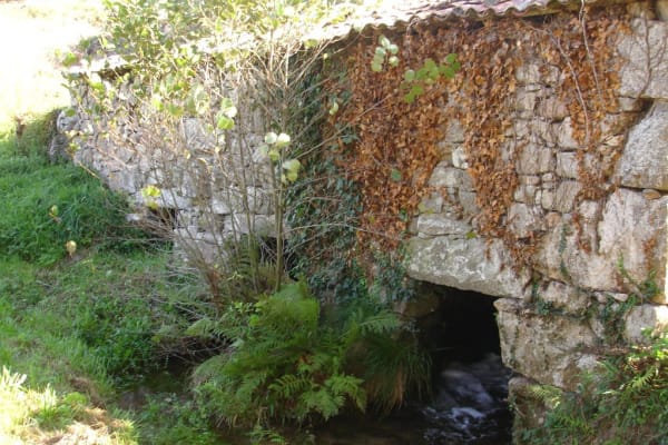 Foto 11 da atividade Galeria de Fotos