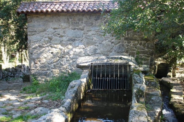 Foto 12 da atividade Galeria de Fotos