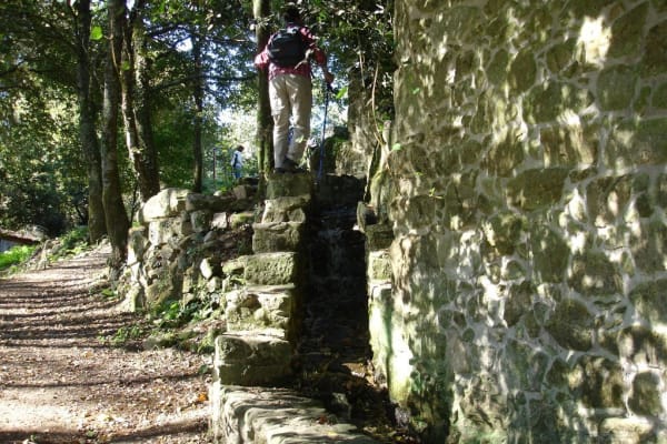 Foto 6 da atividade Galeria de Fotos