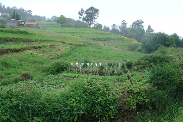 Foto 98 da atividade Galeria de Fotos