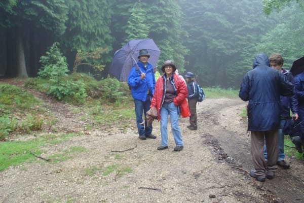 Foto 100 da atividade Galeria de Fotos