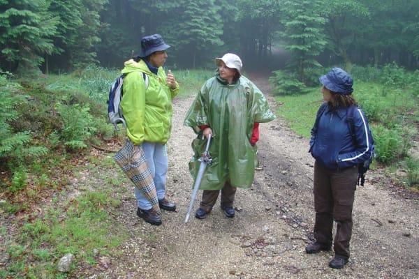 Foto 97 da atividade Galeria de Fotos