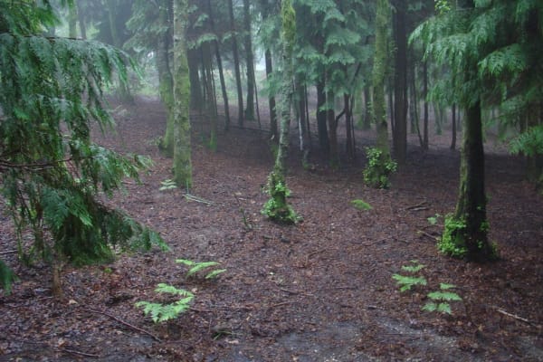 Foto 92 da atividade Galeria de Fotos