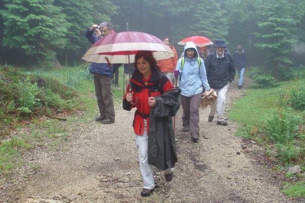 Foto 94 da atividade Galeria de Fotos