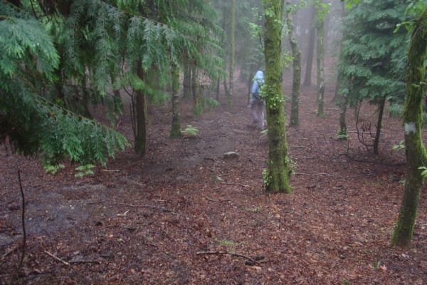 Foto 85 da atividade Galeria de Fotos