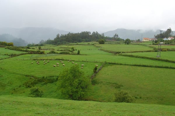 Foto 41 da atividade Galeria de Fotos