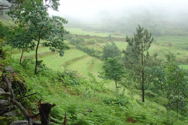 Foto 35 da atividade Galeria de Fotos