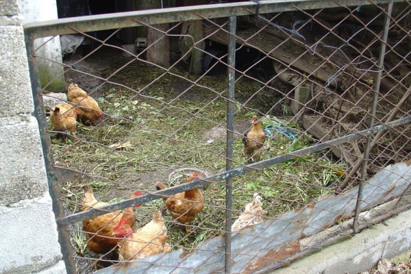 Foto 39 da atividade Galeria de Fotos