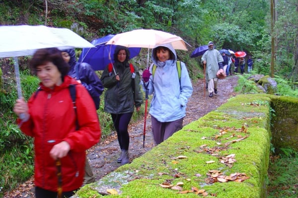 Foto 33 da atividade Galeria de Fotos