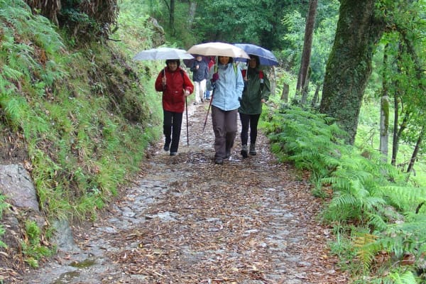 Foto 24 da atividade Galeria de Fotos