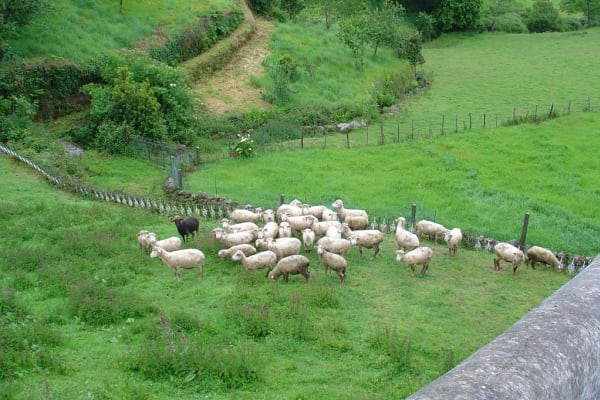 Foto 13 da atividade Galeria de Fotos