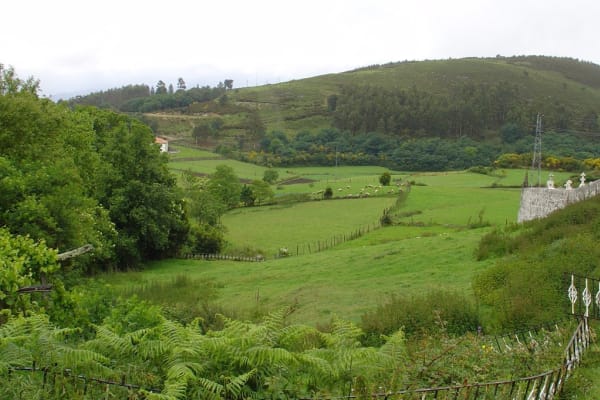 Foto 1 da atividade Galeria de Fotos