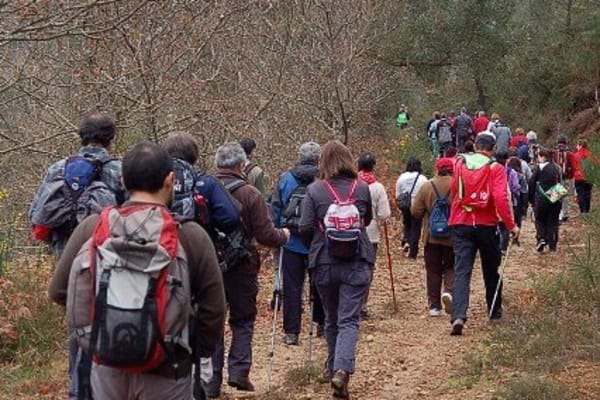 Foto 161 da atividade Galeria de Fotos